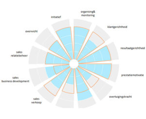 Company Stars - online assessment, persoonlijkheidstest, geschiktheidsonderzoek, competentietest