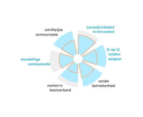 Company Stars - online assessment, persoonlijkheidstest, geschiktheidsonderzoek, competentietest